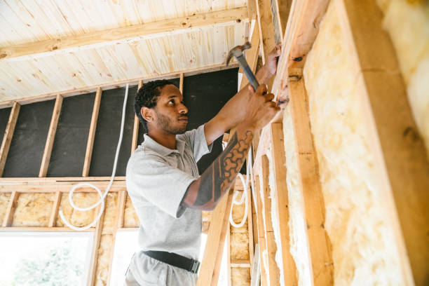 Best Insulation Removal  in Empire, CA